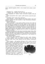 giornale/PUV0110166/1938/V.49/00000097