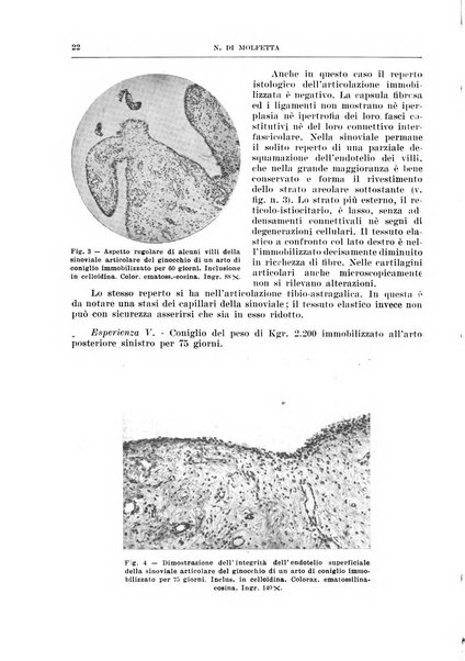 Archivio italiano di chirurgia