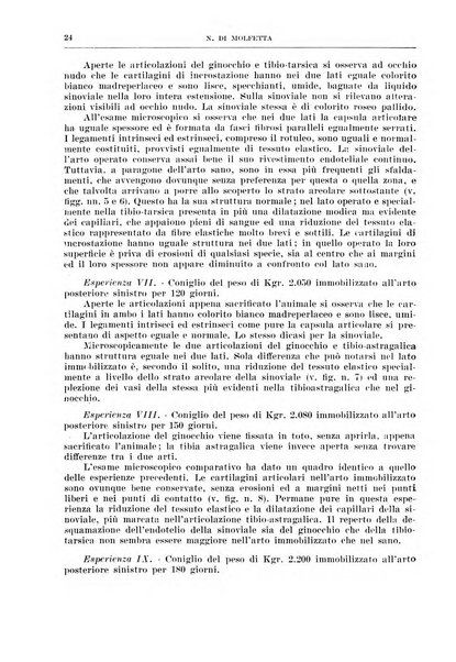 Archivio italiano di chirurgia