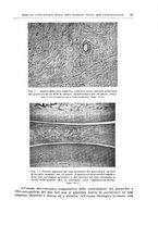 giornale/PUV0110166/1939/V.55/00000035