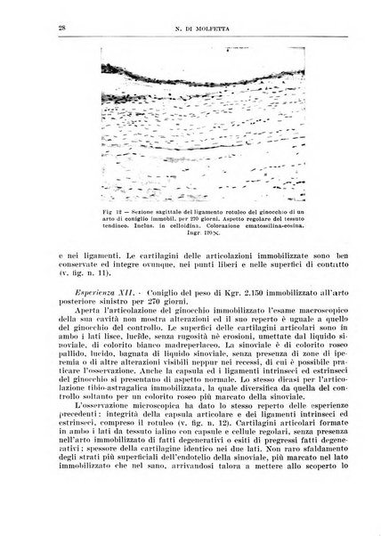 Archivio italiano di chirurgia