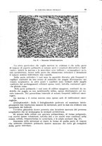 giornale/PUV0110166/1939/V.55/00000099