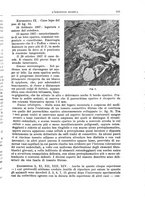giornale/PUV0110166/1939/V.55/00000129