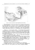 giornale/PUV0110166/1939/V.55/00000149