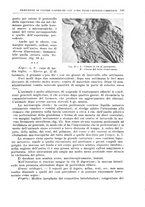 giornale/PUV0110166/1939/V.55/00000157