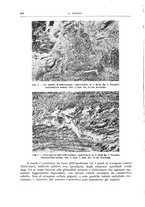 giornale/PUV0110166/1939/V.55/00000228