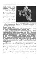 giornale/PUV0110166/1939/V.55/00000275