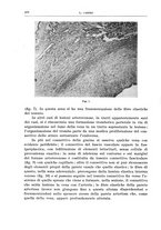 giornale/PUV0110166/1939/V.55/00000296
