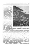 giornale/PUV0110166/1939/V.55/00000303