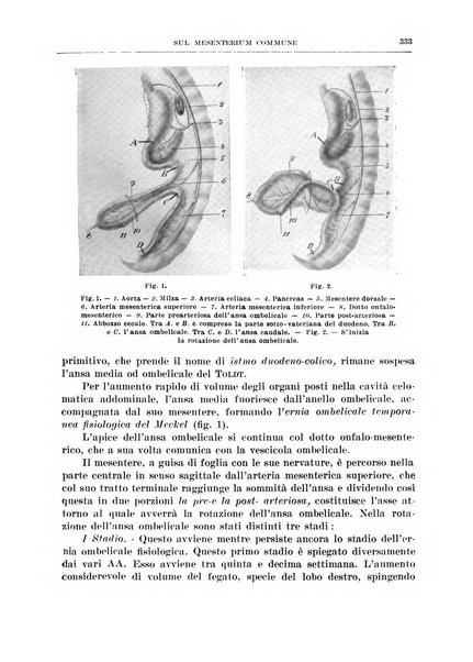 Archivio italiano di chirurgia