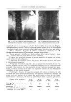 giornale/PUV0110166/1939/V.55/00000397