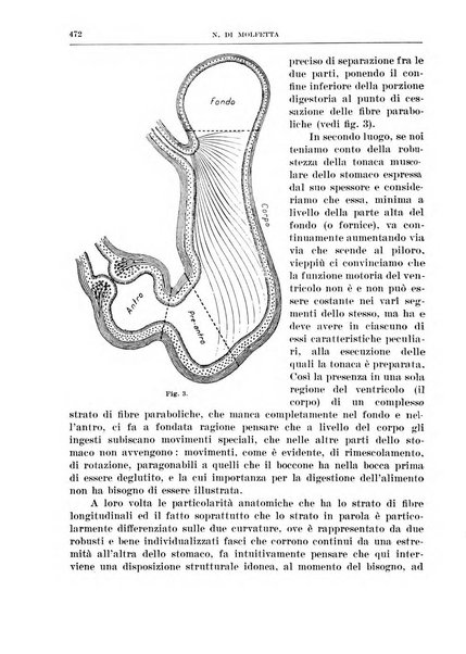 Archivio italiano di chirurgia