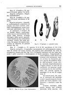 giornale/PUV0110166/1939/V.55/00000551