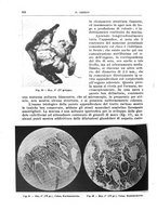 giornale/PUV0110166/1939/V.55/00000554