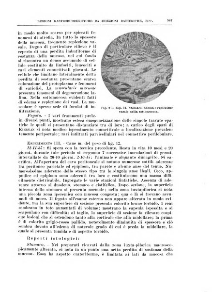 Archivio italiano di chirurgia