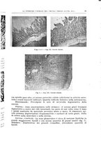 giornale/PUV0110166/1939/V.56/00000101