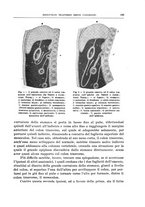 giornale/PUV0110166/1939/V.56/00000209