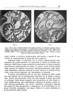 giornale/PUV0110166/1939/V.56/00000237