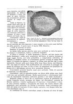 giornale/PUV0110166/1939/V.56/00000269