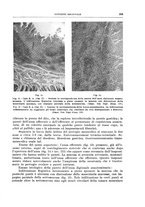 giornale/PUV0110166/1939/V.56/00000279