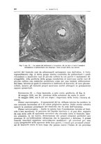 giornale/PUV0110166/1939/V.56/00000386