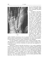 giornale/PUV0110166/1939/V.56/00000582