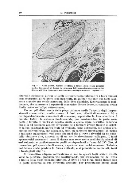 Archivio italiano di chirurgia