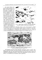 giornale/PUV0110166/1939/V.57/00000045