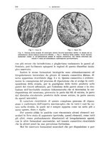 giornale/PUV0110166/1939/V.57/00000154