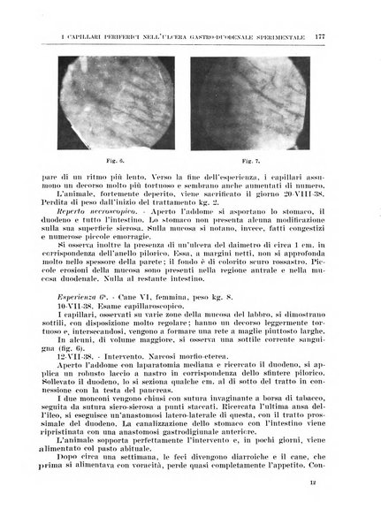 Archivio italiano di chirurgia