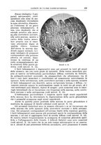 giornale/PUV0110166/1939/V.57/00000237