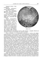giornale/PUV0110166/1939/V.57/00000251