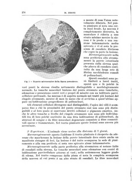 Archivio italiano di chirurgia