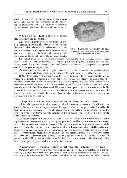 Archivio italiano di chirurgia