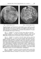 giornale/PUV0110166/1939/V.57/00000313