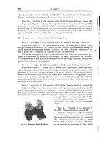 giornale/PUV0110166/1939/V.57/00000314