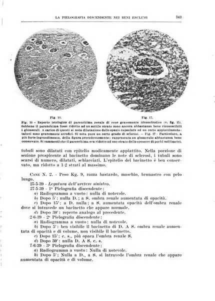 Archivio italiano di chirurgia