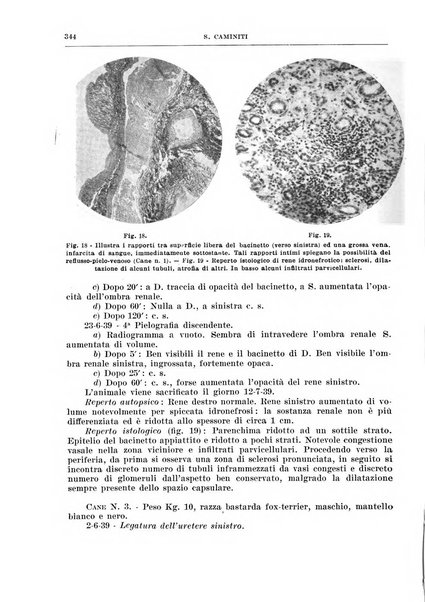 Archivio italiano di chirurgia