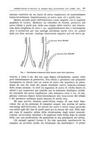 giornale/PUV0110166/1939/V.57/00000381