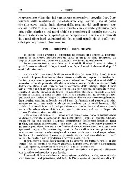 Archivio italiano di chirurgia