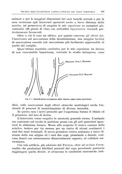 Archivio italiano di chirurgia