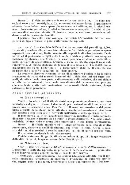 Archivio italiano di chirurgia