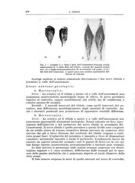 Archivio italiano di chirurgia