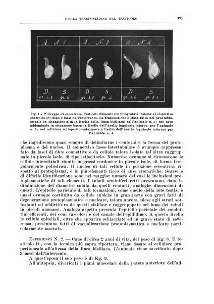 Archivio italiano di chirurgia