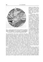 giornale/PUV0110166/1940/V.58/00000202