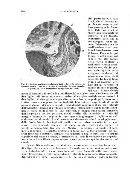 Archivio italiano di chirurgia