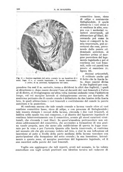 Archivio italiano di chirurgia