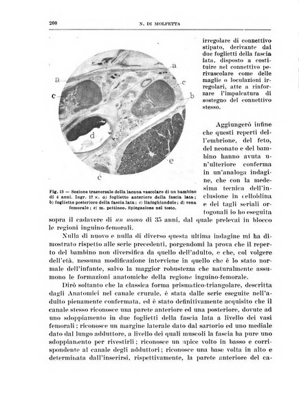 Archivio italiano di chirurgia