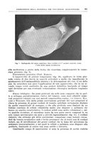 giornale/PUV0110166/1940/V.58/00000365