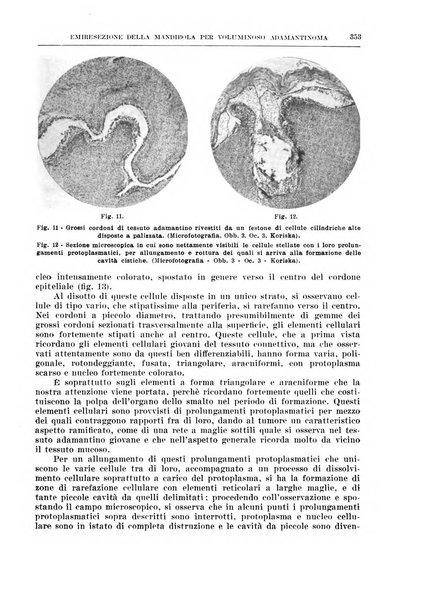 Archivio italiano di chirurgia